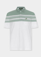 Load image into Gallery viewer, SAGE LEAF GREEN REGULAR FIT STRIPE POLO SHIRT
