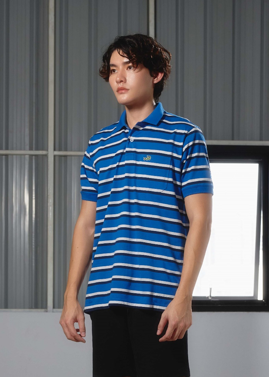 BLUE IOLITE STRIPE REGULAR FIT POLO SHIRT