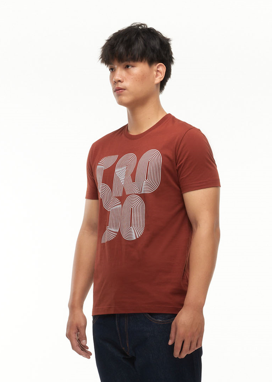 NUTSHELL BROWN CUSTOM FIT CREW NECK T-SHIRT WITH GRAPHIC PRINT