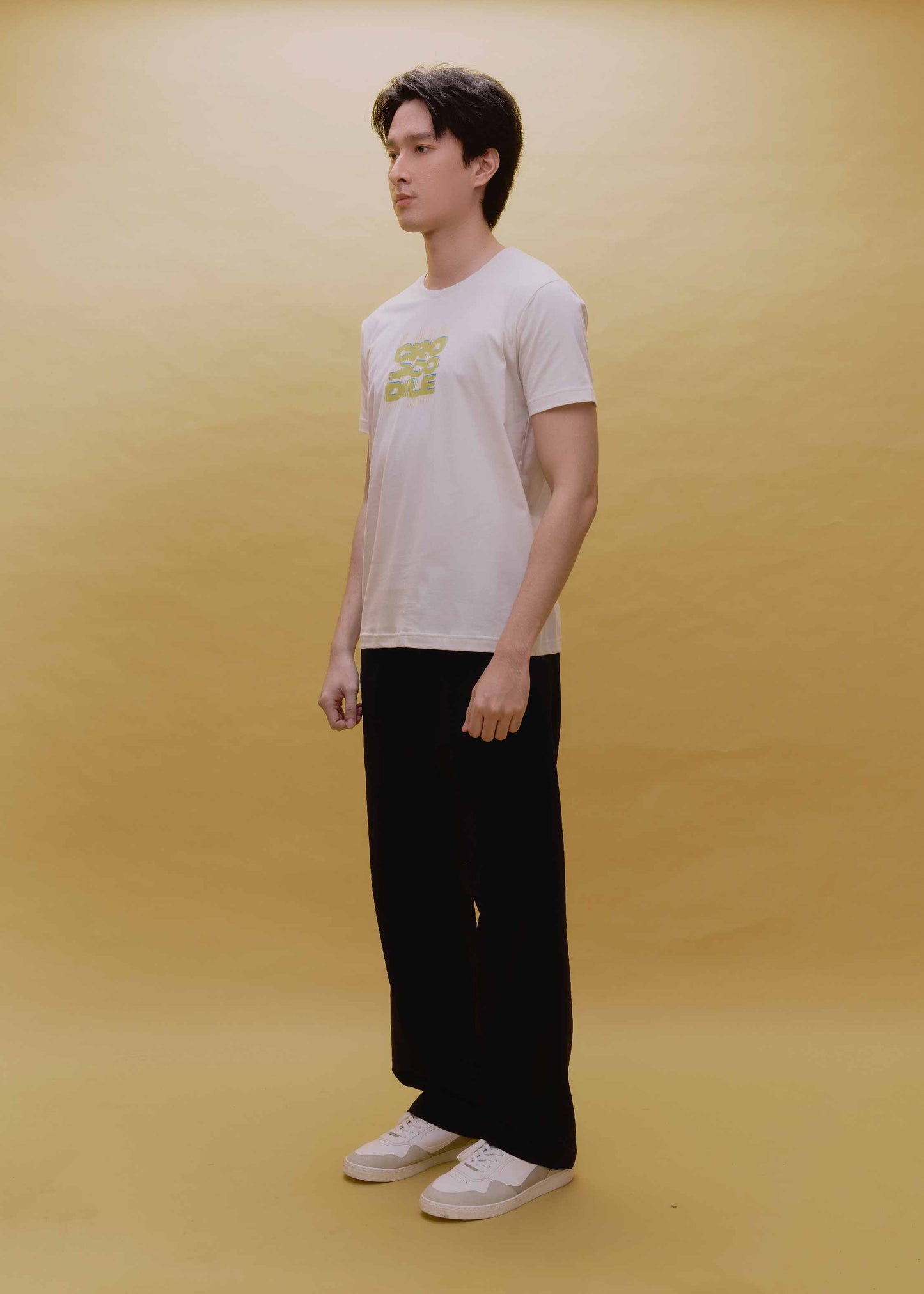 BEIGE CUSTOM FIT CREW NECK SHORT SLEEVE T-SHIRT WITH GRAPHIC PRINT