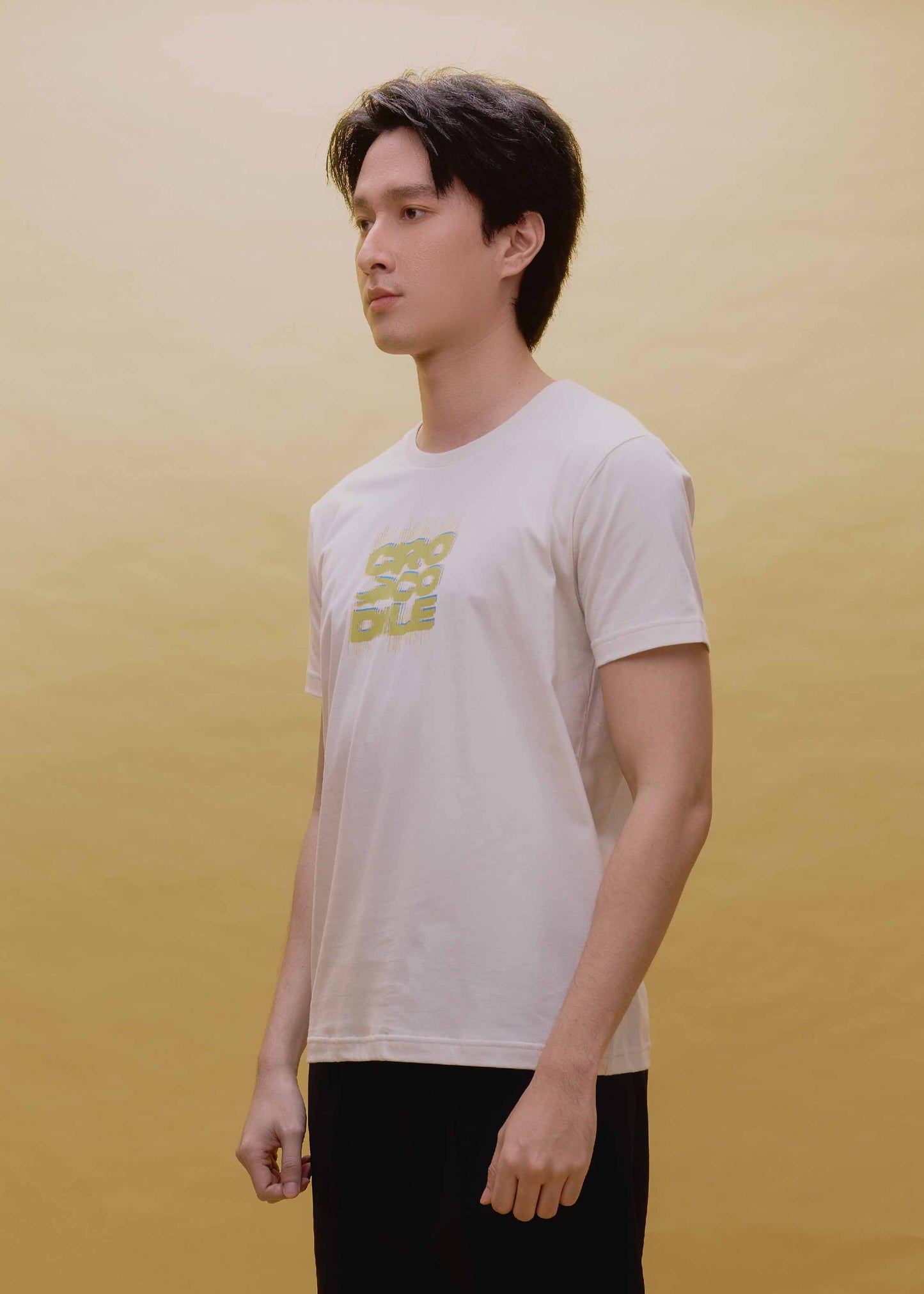 BEIGE CUSTOM FIT CREW NECK SHORT SLEEVE T-SHIRT WITH GRAPHIC PRINT