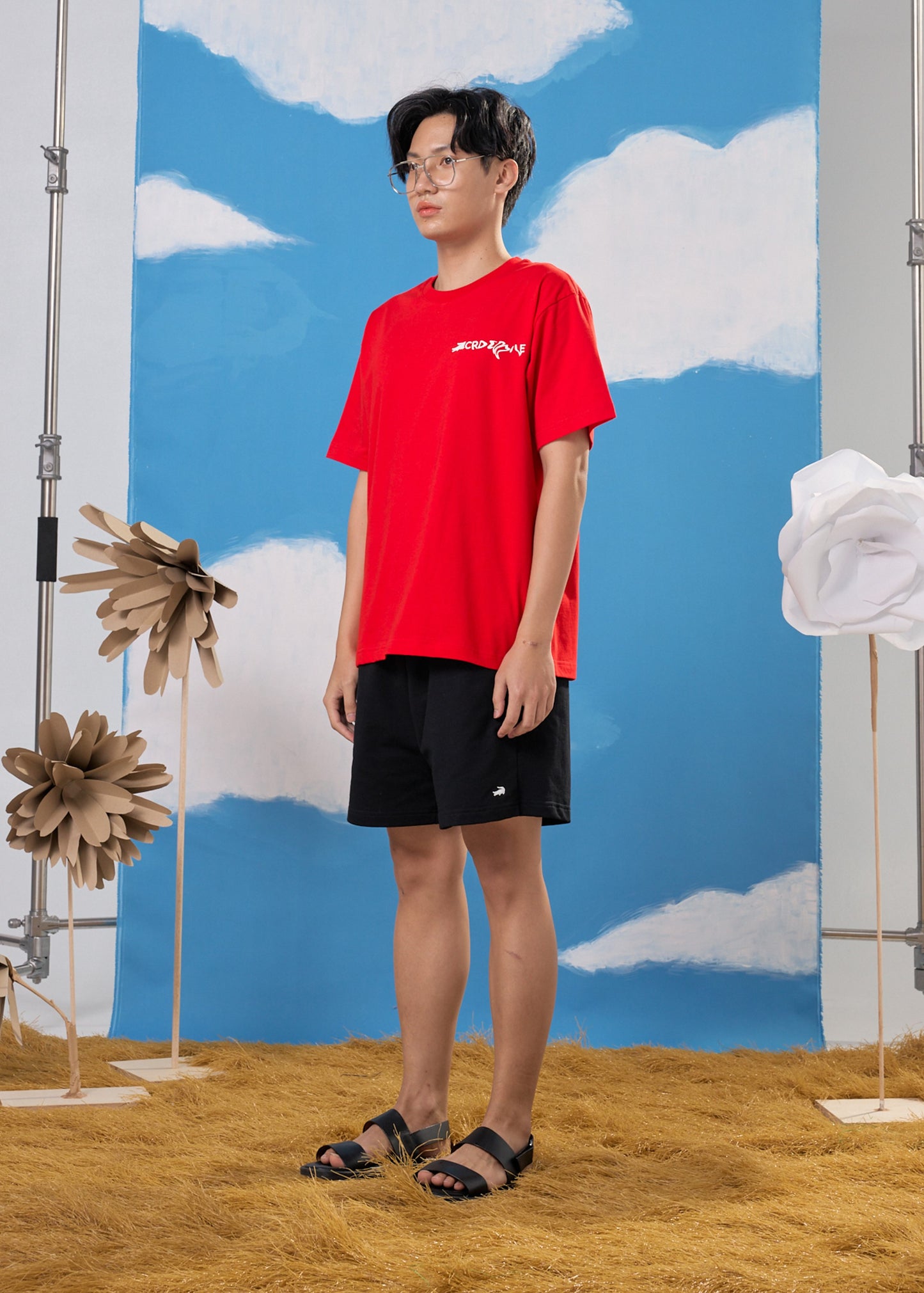 CHERRY TOMATO OVERSIZED FIT CREW NECK SHORT SLEEVE T-SHIRT WITH GRAPHIC PRINT